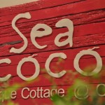 Sea-Coco (13)