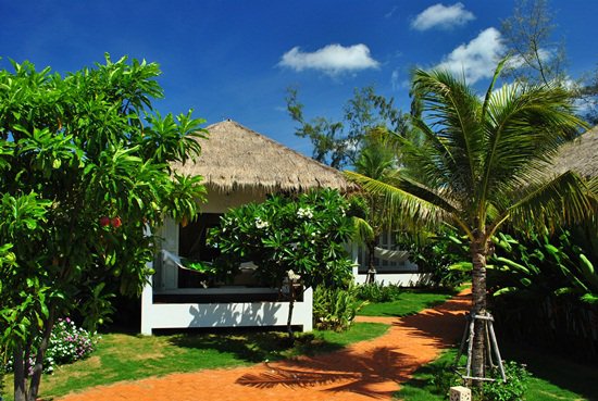 Sea-Coco (3)