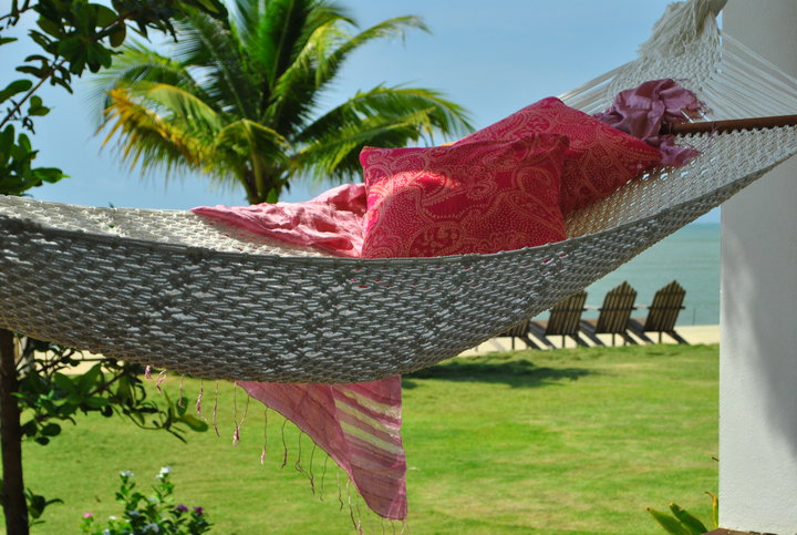 Sea-Coco (9)
