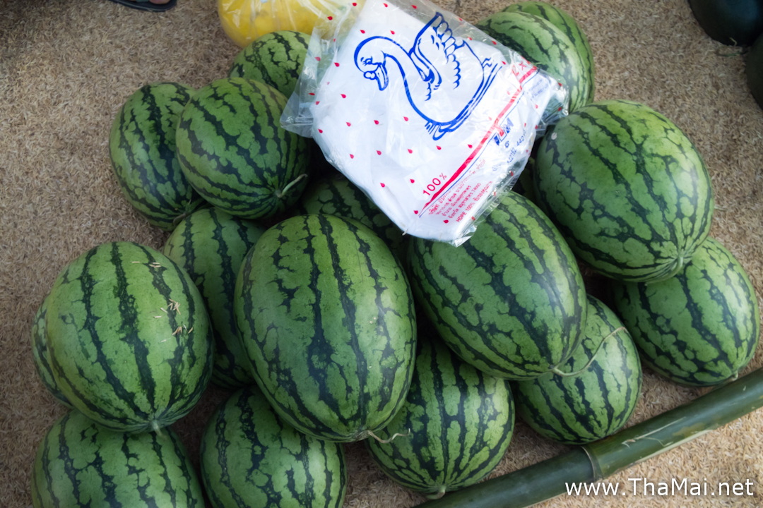 Yellow Rind Watermelon Tha Mai