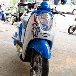 wpid3401-DSC6587.jpg