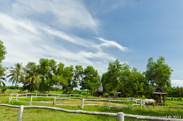 wpid3519-DSC8681.jpg