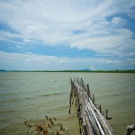 wpid3709-DSC8918.jpg