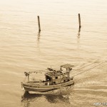 wpid-DSC3374.jpg