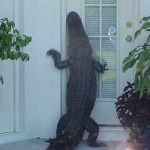 Thailand Flooding 2011 (13)