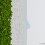 wpid-DSC5046.jpg