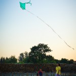 wpid6611-DSC6895.jpg