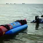 wpid7425-DSC7917.jpg