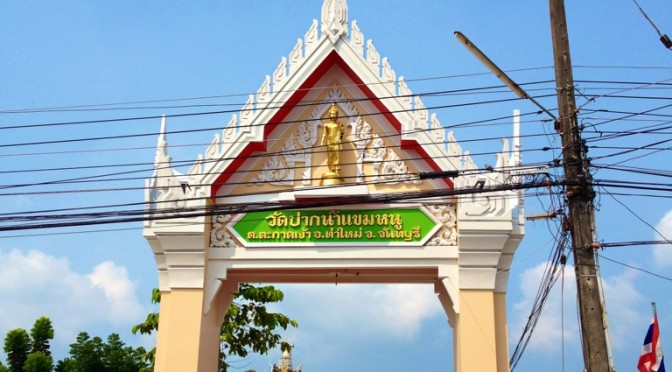 20120313-104835.jpg